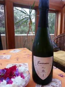 Cantosan Brut, D.O. Rueda